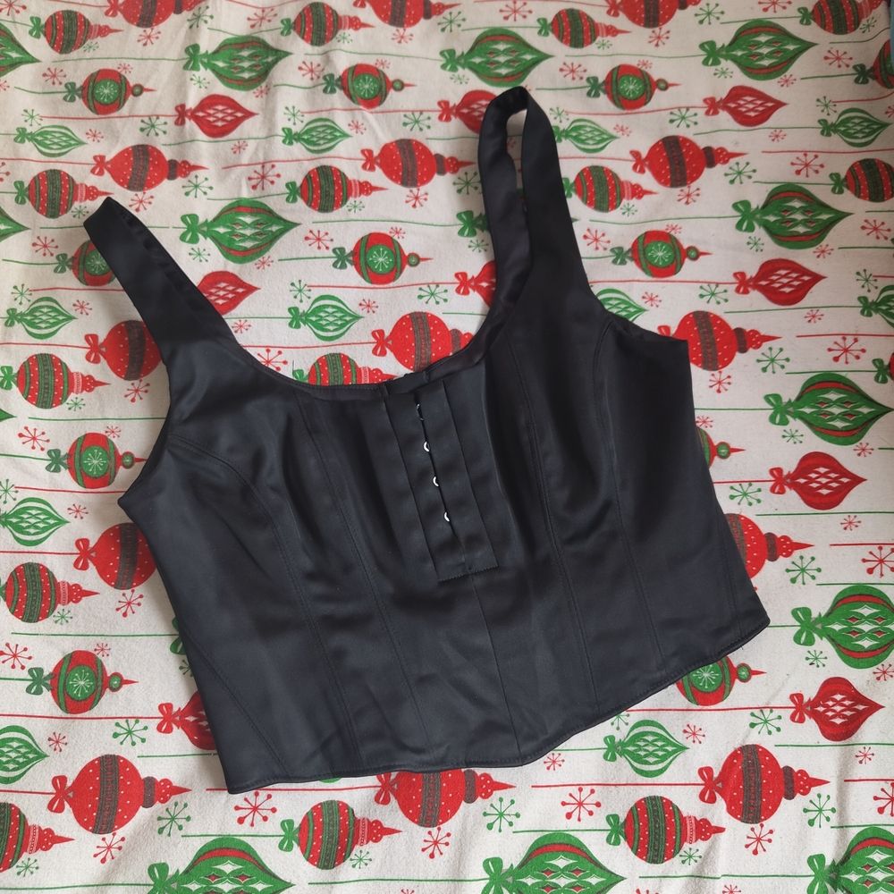 Aritzia Babaton Satin Corset Top
